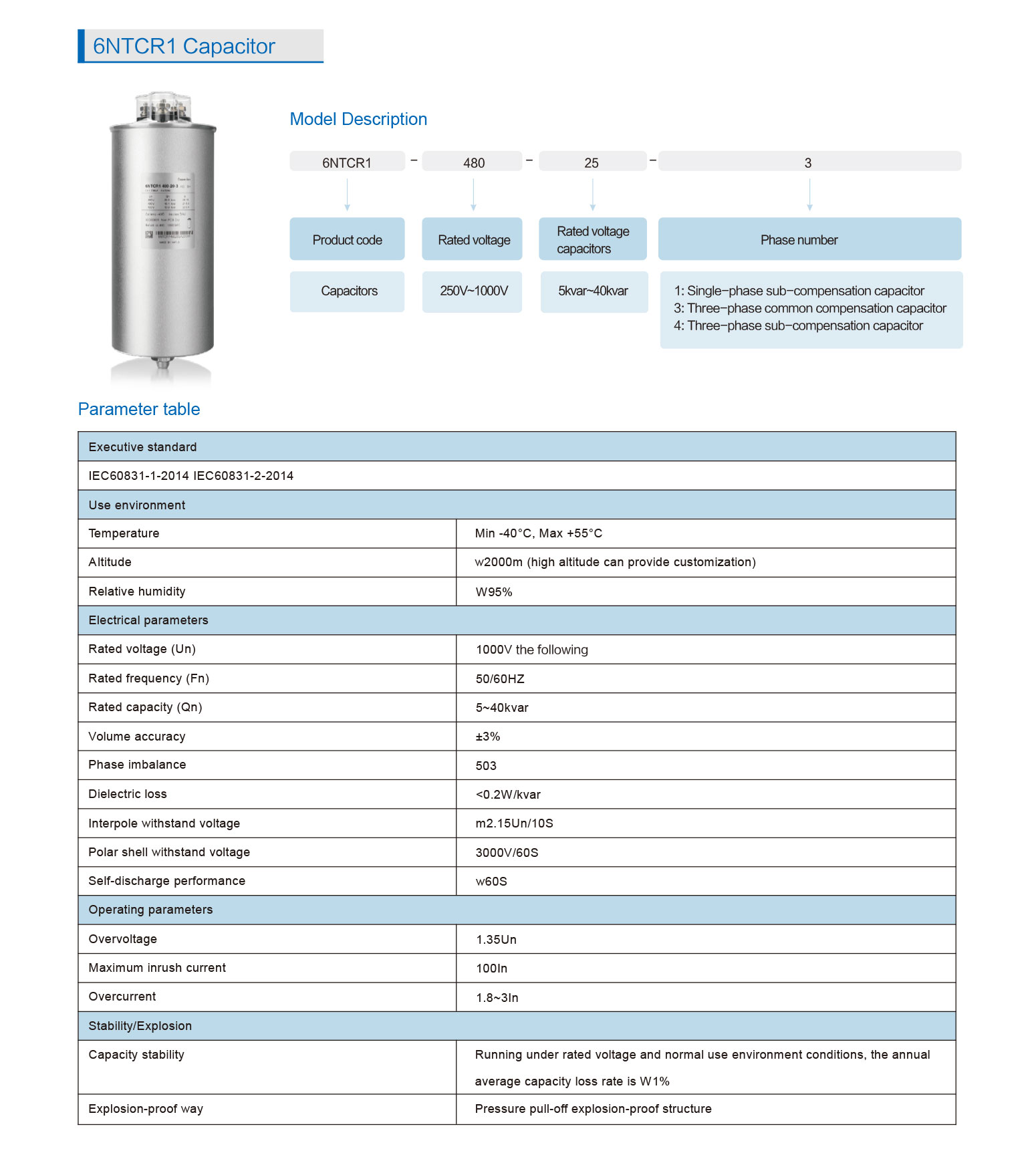 6NTCR1-Capacitor_1.jpg